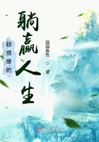 顾惜是什么小说