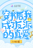 穿书后我成了反派的真爱