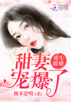 重生暖婚,甜妻宠上天