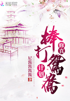 修真棒打鸳鸯计划